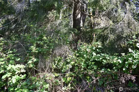 130 W Satsop Dr, Elma, WA 98541