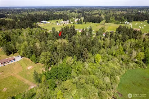 422 336th St E, Roy, WA 98580 photo 38