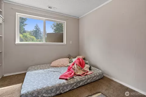 422 336th St E, Roy, WA 98580 photo 24