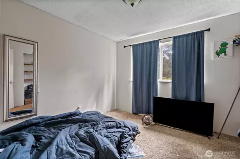 422 336th St E, Roy, WA 98580 photo 21
