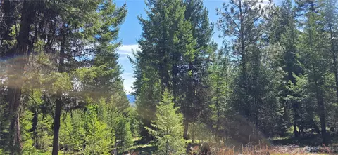111 Tbd Wannamaker Rd, Oroville, WA 98844