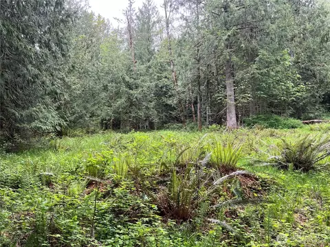 1 SE Nnnn Se 51st St, Preston, WA 98050