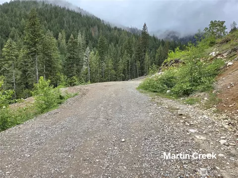 6710 6710 Martin Crk, Skykomish, WA 98288
