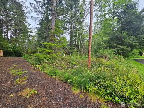 0 Patricia, Copalis Beach, WA 98535