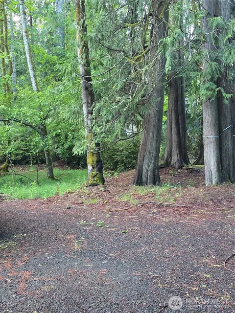 441 E Pointes Dr E, Shelton, WA 98584