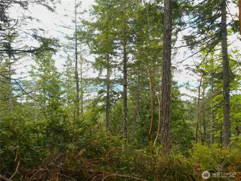 0 Yashi Rd, Brinnon, WA 98320