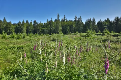 2062 Goodell Rd, Freeland, WA 98249