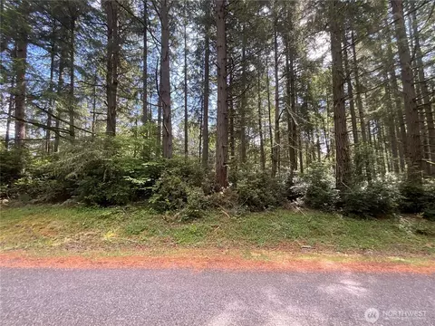 11321 Lake Josephine Ave, Anderson Island, WA 98303