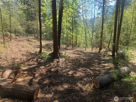 22439 Vale Ct SE, Yelm, WA 98597