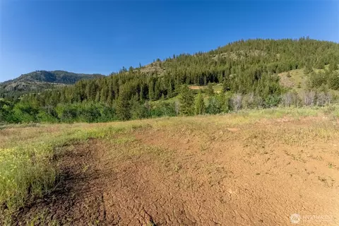 0 Tbd Alder Rd, Twisp, WA 98856 photo 29