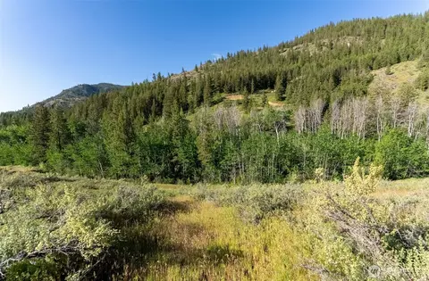 0 Tbd Alder Rd, Twisp, WA 98856 photo 38