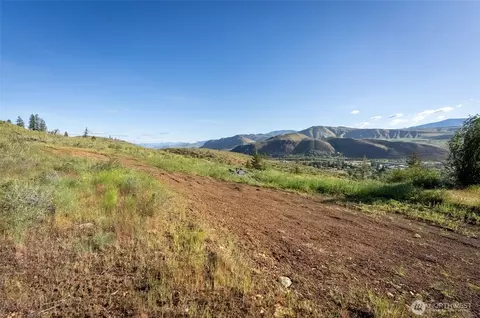 0 Tbd Alder Rd, Twisp, WA 98856 photo 6