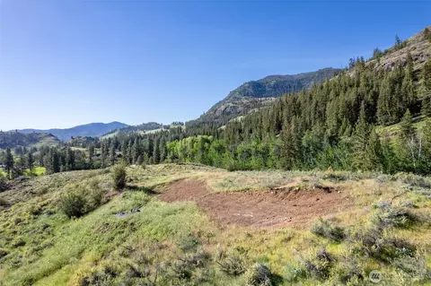 0 Tbd Alder Rd, Twisp, WA 98856 photo 25