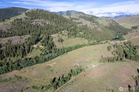 0 Tbd Alder Rd, Twisp, WA 98856 photo 10