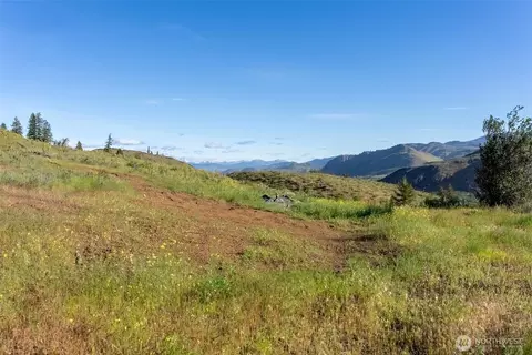 0 Tbd Alder Rd, Twisp, WA 98856 photo 5