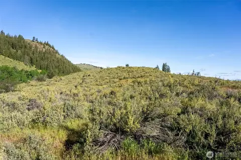 0 Tbd Alder Rd, Twisp, WA 98856 photo 36