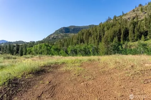 0 Tbd Alder Rd, Twisp, WA 98856 photo 30