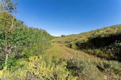 0 Tbd Alder Rd, Twisp, WA 98856 photo 39