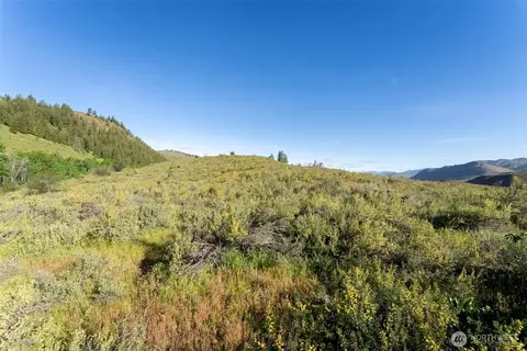 0 Tbd Alder Rd, Twisp, WA 98856 photo 37