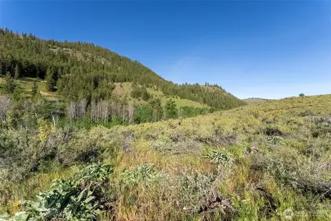 0 Tbd Alder Rd, Twisp, WA 98856 photo 33