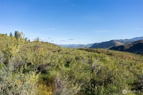 0 Tbd Alder Rd, Twisp, WA 98856 photo 35