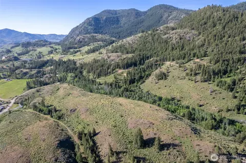 0 Tbd Alder Rd, Twisp, WA 98856 photo 13