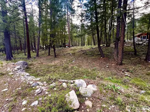 35 Emerson Rd, Mazama, WA 98833