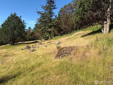 1024 Deer Harbor Rd, Orcas Island, WA 98245 photo 2