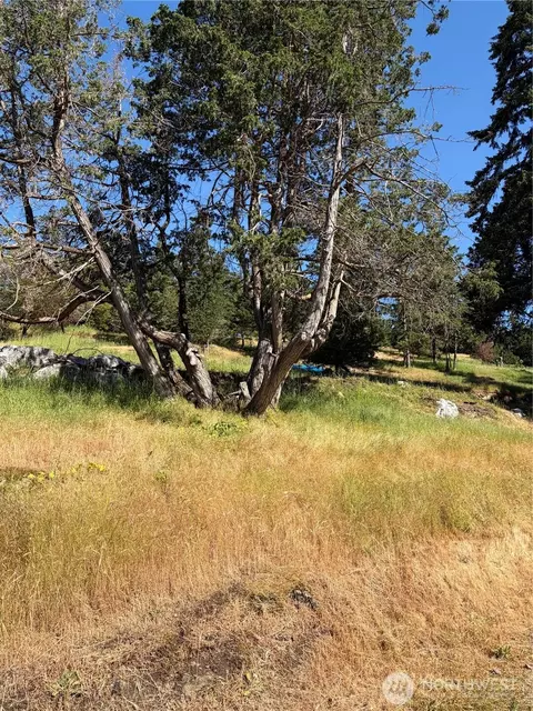 1024 Deer Harbor Rd, Orcas Island, WA 98245 photo 6