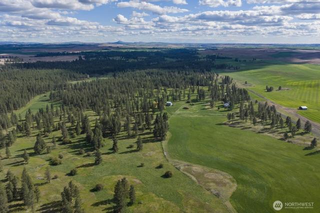 32312 N Pine Creek Rd S, Spangle, WA 99031
