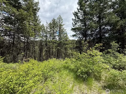 0 Lot 131 Slippery Hill Rd, Republic, WA 99166