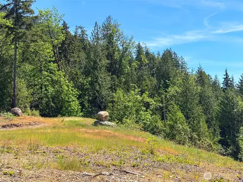 111 Nnn Rocky Brook Rd, Brinnon, WA 98320