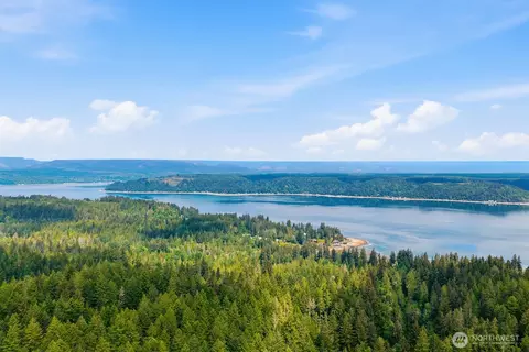1081 E Vine Maple Ln, Union, WA 98592 photo 10