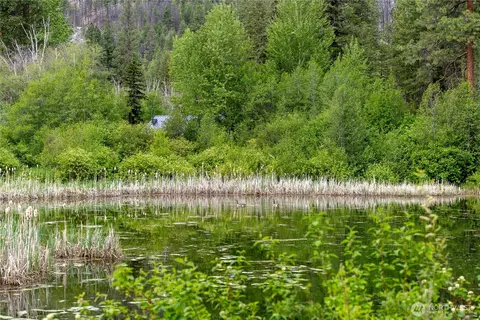 View/Area - 69 Fs 5010 Rd - Chewuch, Winthrop, WA 98862 photo 7 of 9