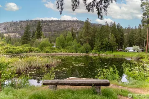 View/Area - 69 Fs 5010 Rd - Chewuch, Winthrop, WA 98862 photo 1 of 9
