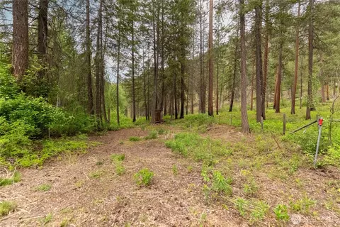 Exterior - 69 Fs 5010 Rd - Chewuch, Winthrop, WA 98862 photo 5 of 9
