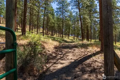 Other - 10 Sims Canyon Rd, Twisp, WA 98856 photo 8 of 10