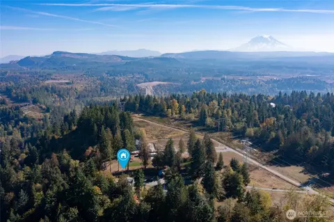 16115 243rd St E, Graham, WA 98338 photo 40