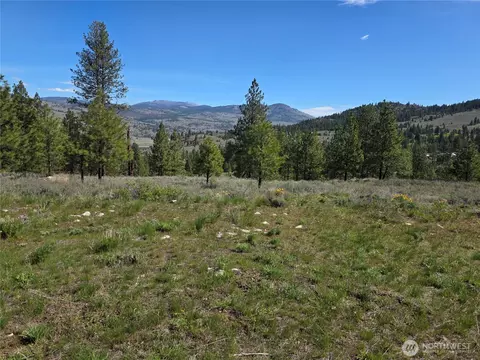 144 Reevas Basin Rd, Tonasket, WA 98855