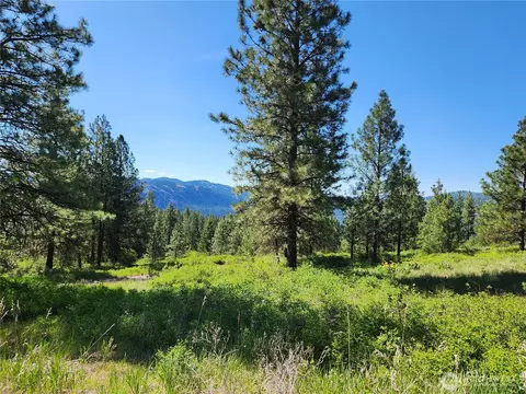 0 Gold Mountain Rd, Republic, WA 99166