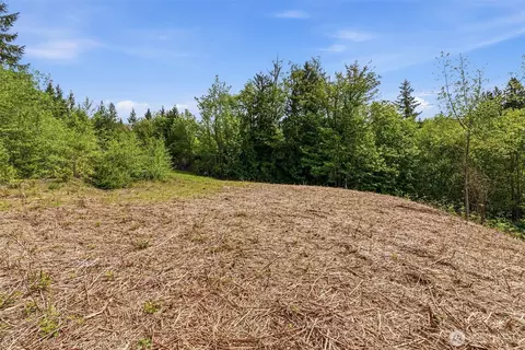 0 E State Route 4, Cathlamet, WA 98612 photo 15
