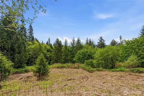 0 E State Route 4, Cathlamet, WA 98612 photo 17