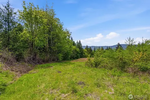 0 E State Route 4, Cathlamet, WA 98612 photo 10