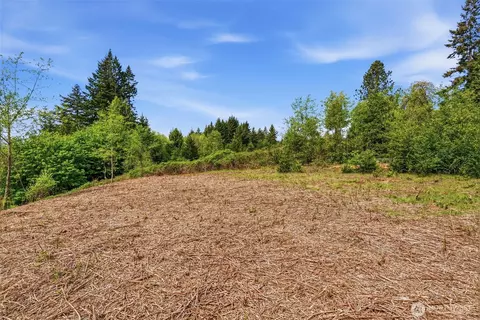 0 E State Route 4, Cathlamet, WA 98612 photo 14