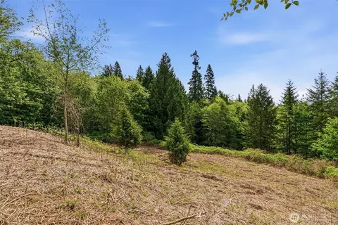 0 E State Route 4, Cathlamet, WA 98612 photo 18
