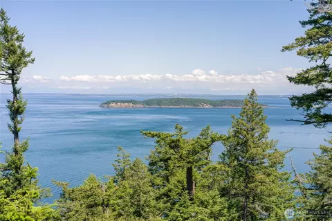 463 Wright Rd, Orcas Island, WA 98245 photo 13