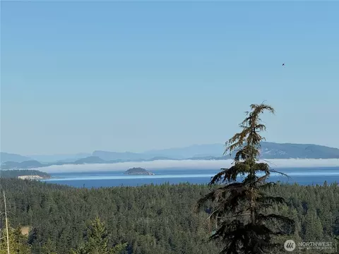 463 Wright Rd, Orcas Island, WA 98245 photo 2