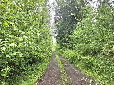 36610 48th Ave S, Roy, WA 98580