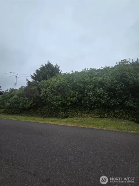 392 S Wynoochee Dr SW, Ocean Shores, WA 98569