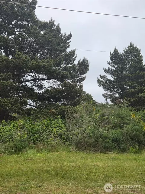 556 Point Brown Ave NE, Ocean Shores, WA 98569